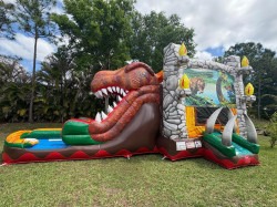 52c0f8ed 39af 497c b783 c1e8badf6313 1777402084 1 T-Rex Dual Lane Combo Wet