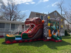 94141848 4c94 40ea ae8e bf4f135aaf6a 1777402084 1 T-Rex Dual Lane Combo Wet