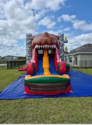 b870ee7c 450f 4848 8e38 05de0d09a7f3 1777402085 1 T-Rex Dual Lane Combo Wet